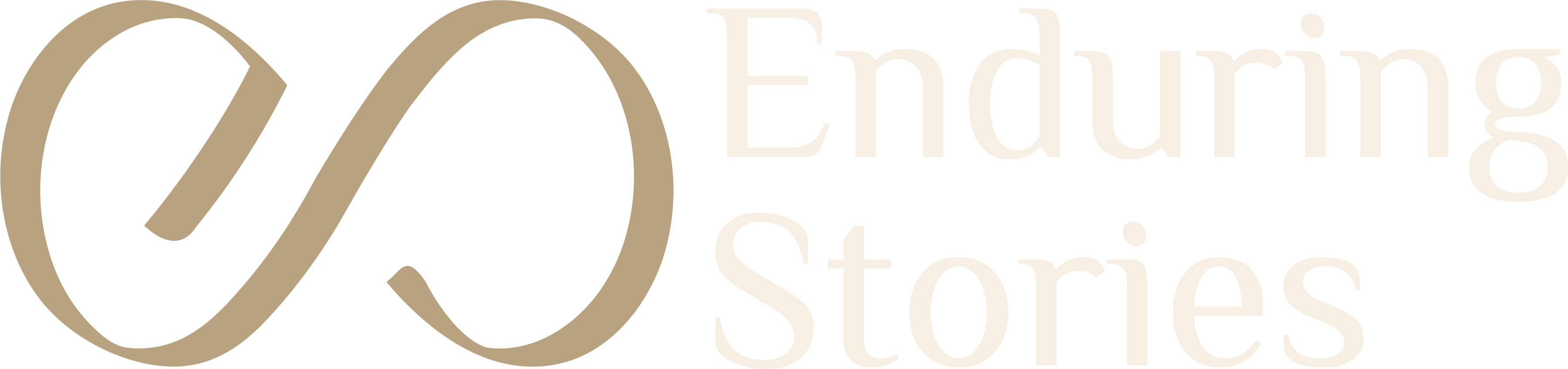 Enduring Stories